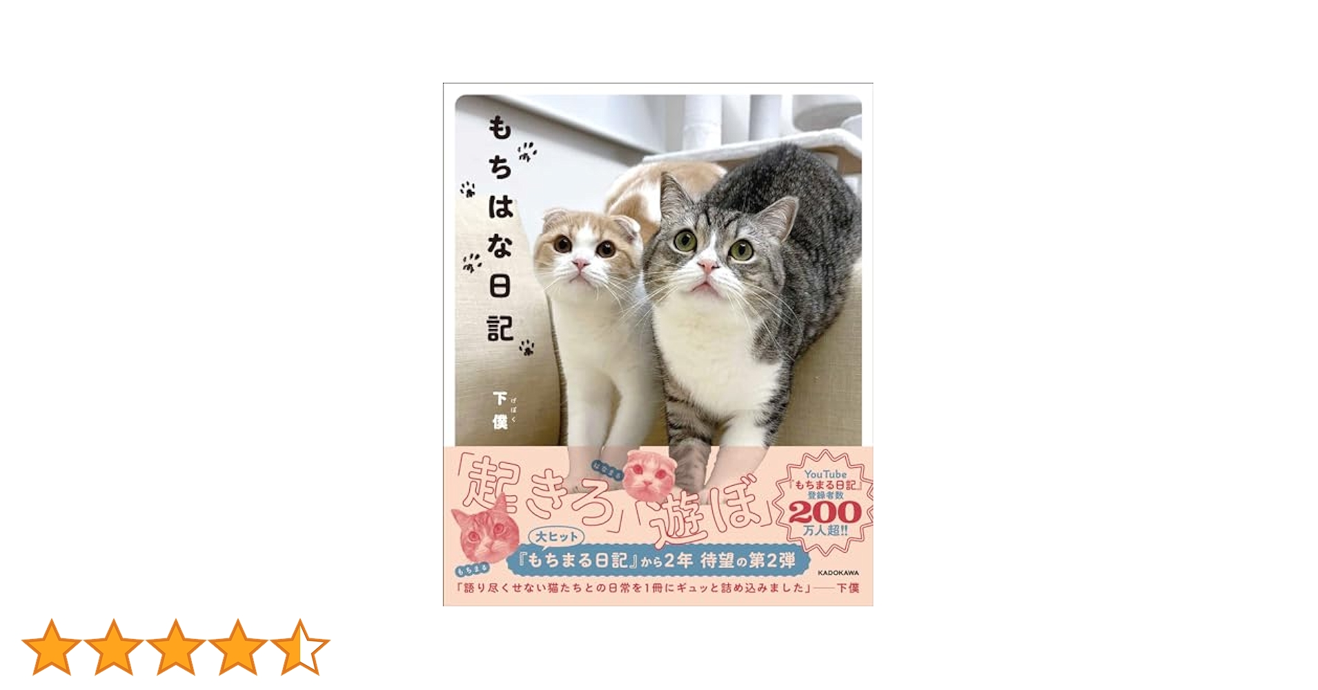 もちはな日記 | 下僕 |本 | 通販 | Amazon